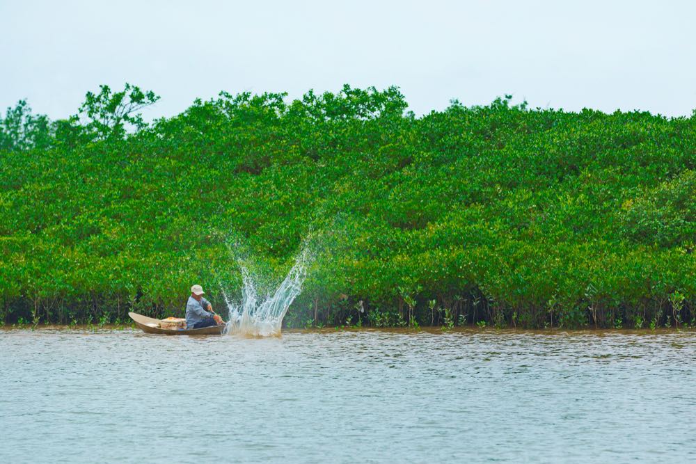 Xuan Thuy National Park